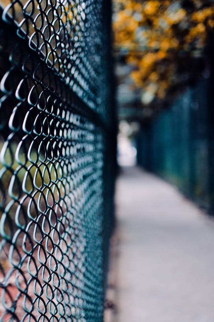 A wire fence in Bengaluru with a blurred background for creative depth.